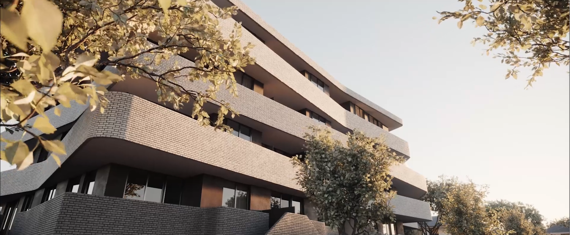 AVA – Animation Training